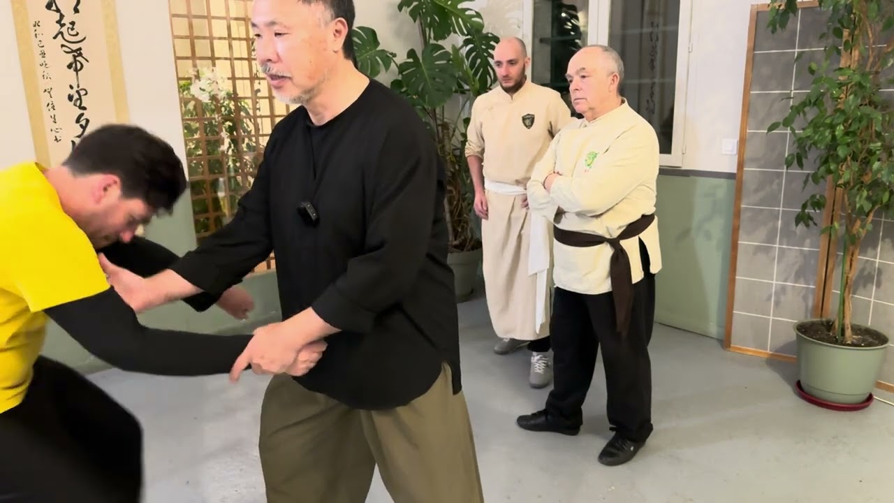 Arts martiaux internes - Taichi Chuan - Axe - d'arrière en avant