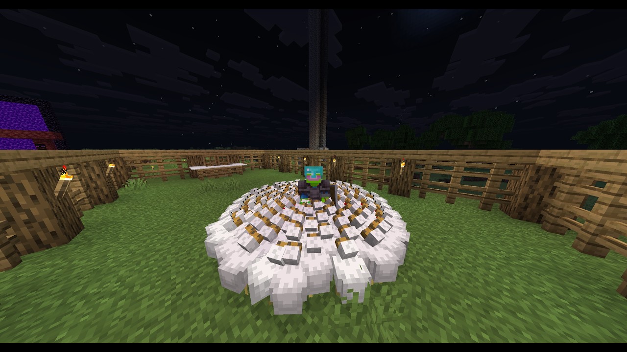 The chicken circle