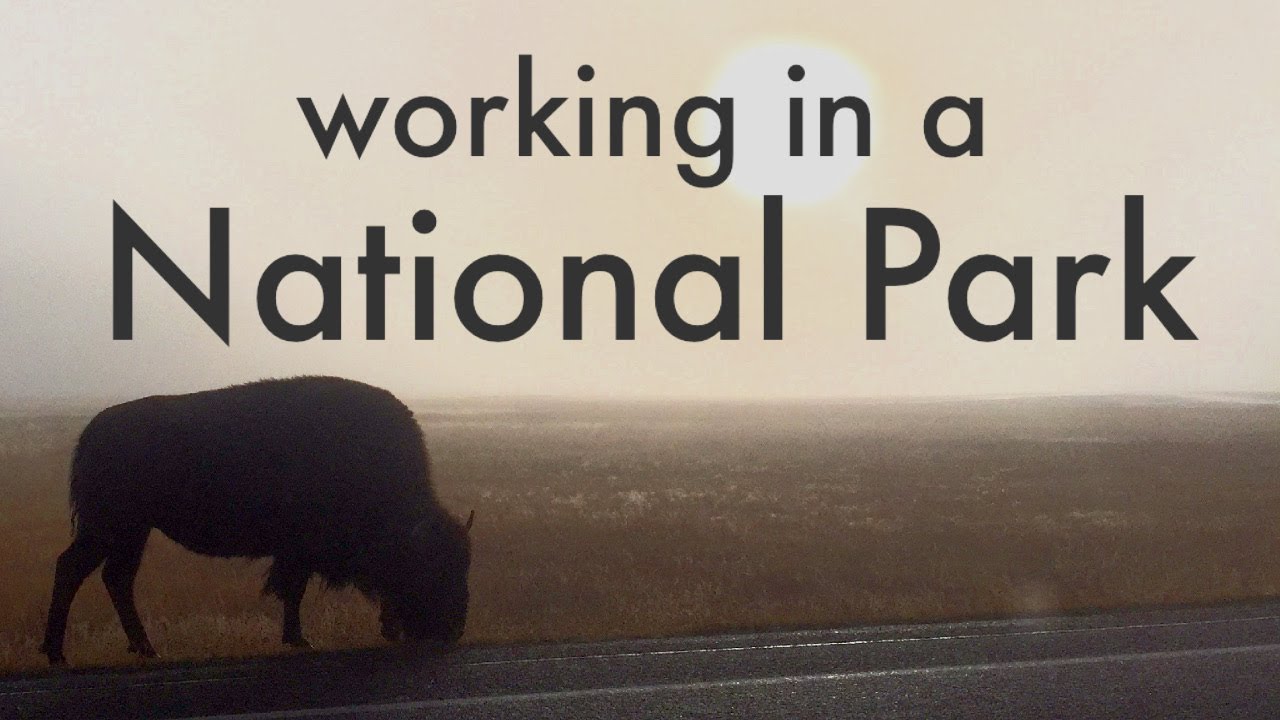 NATIONAL PARK WORK | Your Questions Answered