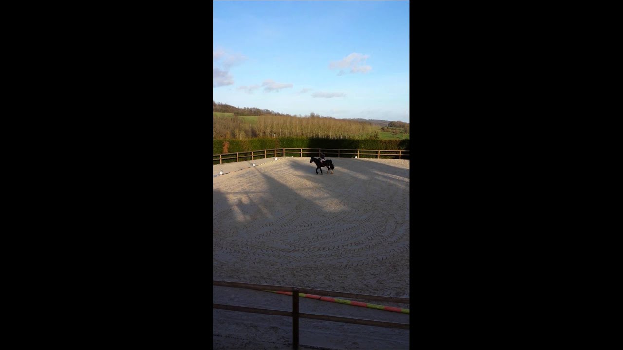 [Concours de Dressage] 11.01.15