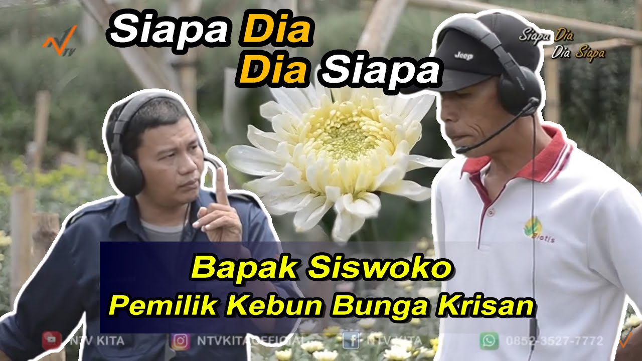Kebun Bunga Krisan di Kabupaten Pasuruan #SiapadiaDiasiapa