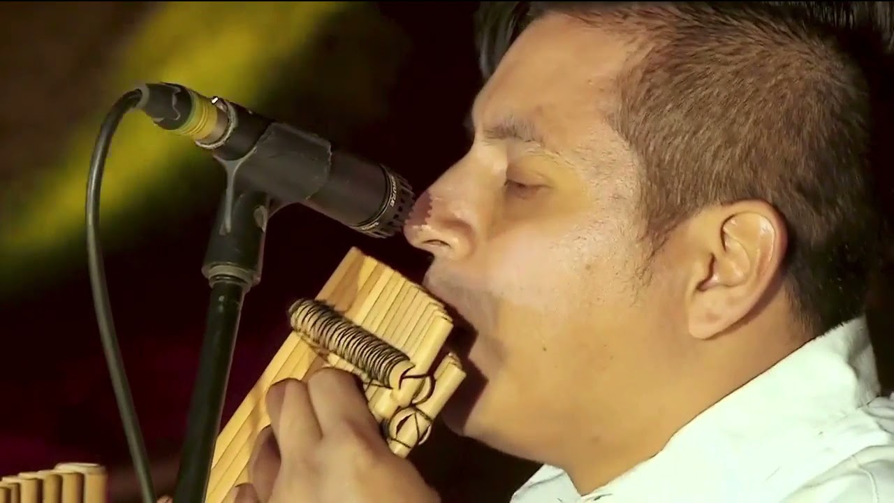 NAYLAMP. Mauricio Vicencio