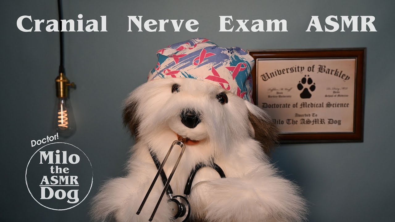 ASMR Cranial Nerve Exam with Doctor Milo (Dogtor Roleplay)