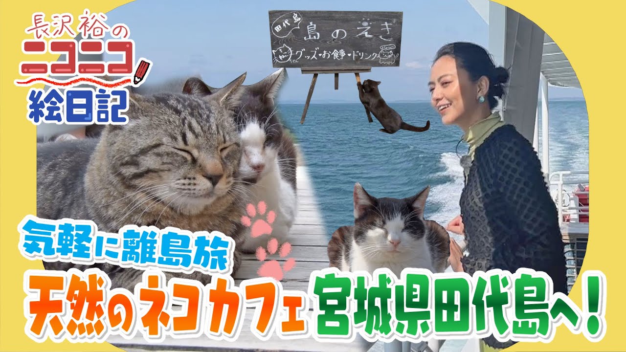 【長沢裕のニコニコ絵日記】気軽に離島旅 天然のネコカフェ宮城県田代島へ！