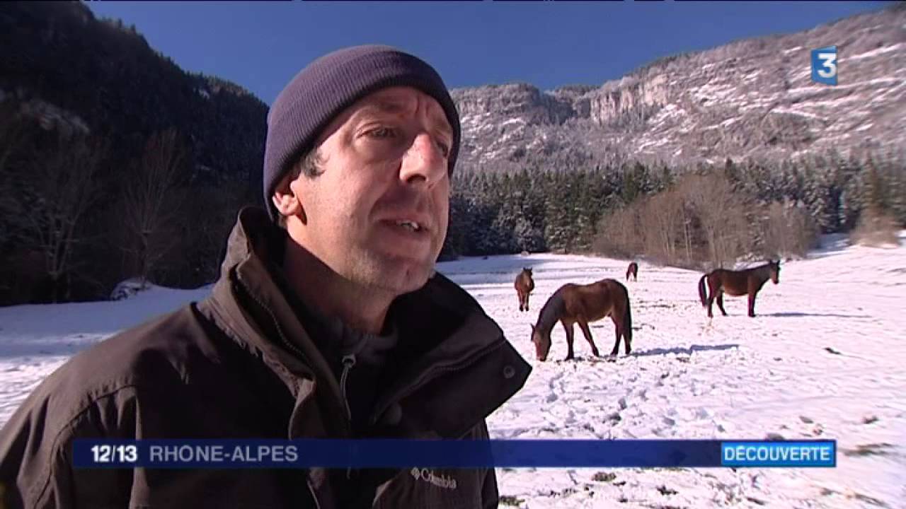 Connaissez-vous le cheval du Vercors de Barraquand ?