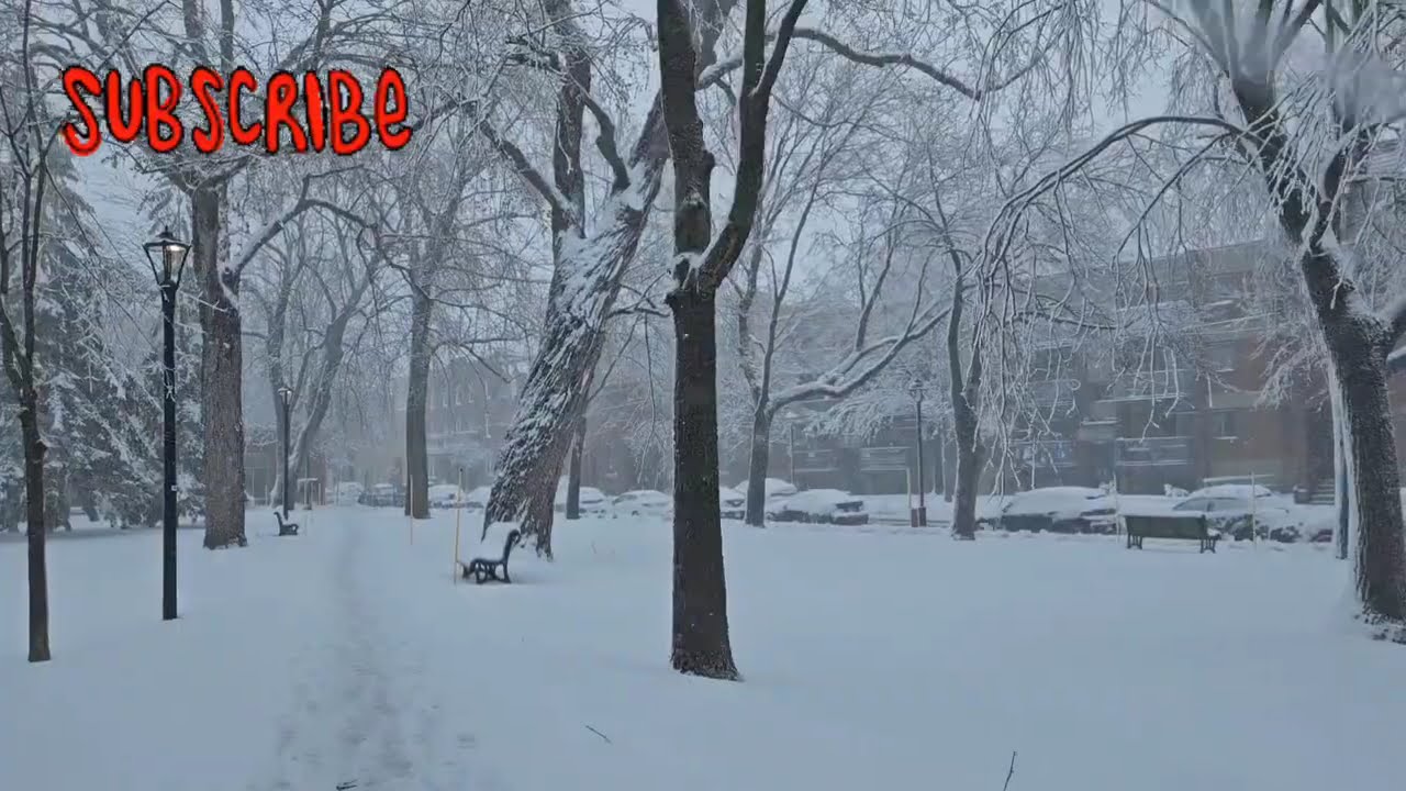 Walking through St. Gabriel park