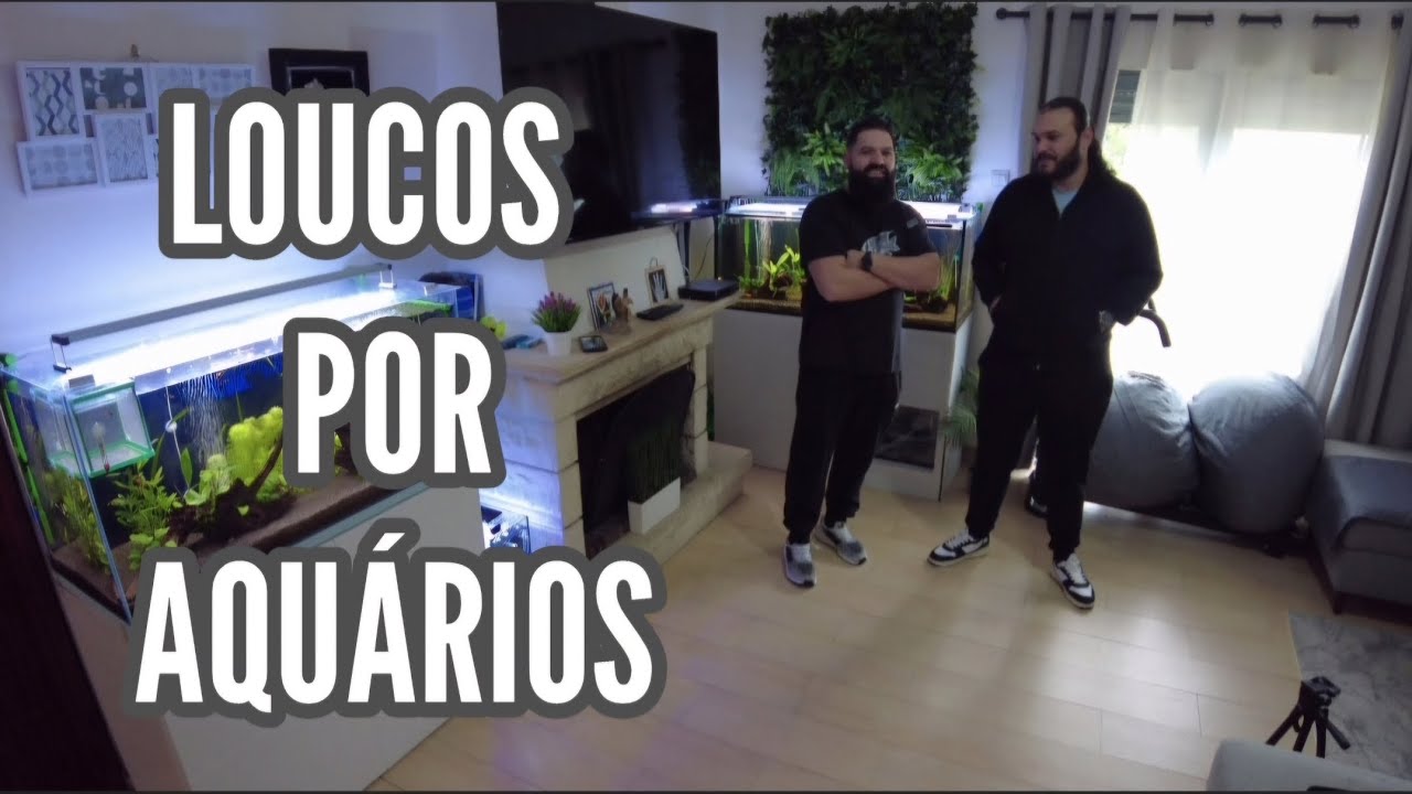 CONHECI UM INSCRITO DO CANAL AQUARIOFILIA SIMPLES e ele Mostrou os Seus Aquários