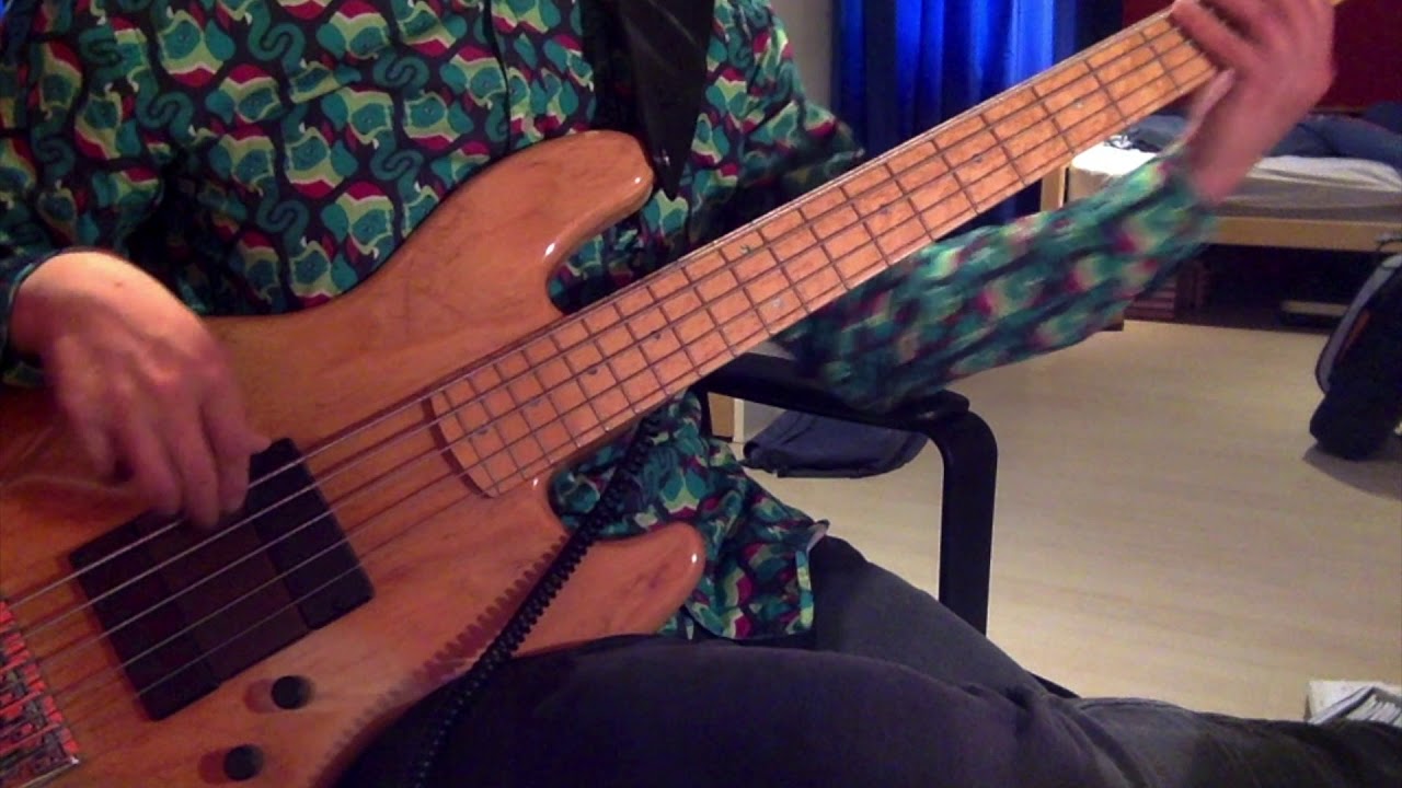 De Gier Custom Made 5 String Bass Demo (Active)