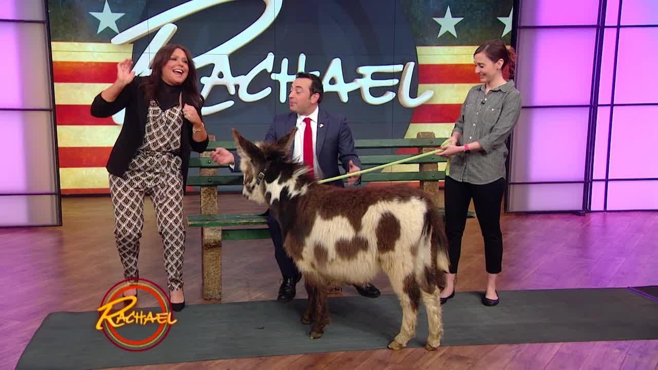 This President Kept a Donkey at the White House