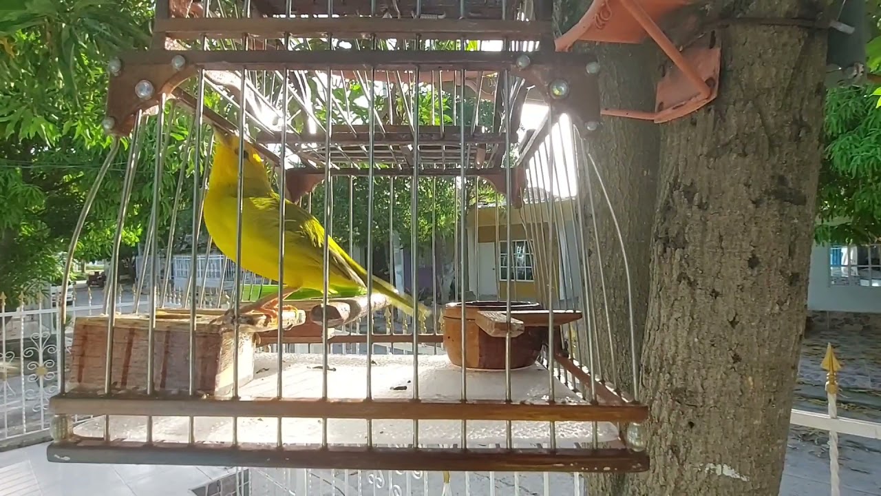 La Bendición