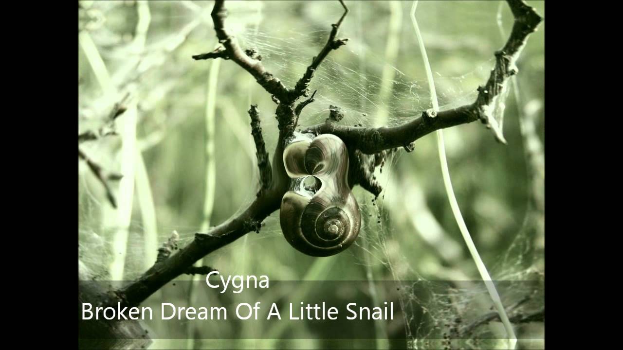 Cygna - Broken Dream Of A Little Snail