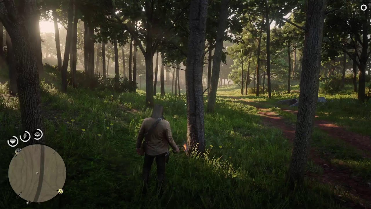 LIVEZONA ENTRANDO NA CASA QUE POR 3 ANOS EU ACHAVA QUE ERA INACESSÍVEL NO RED DEAD 2