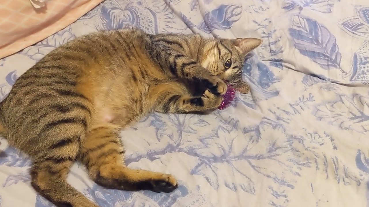 Kiki April 18 2025