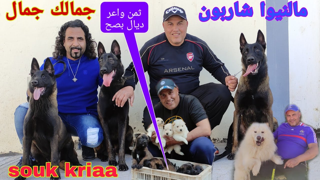 زيارة مفأجاة عند المولوع والبطل عمر درويش وأحسن الكلاب مالنيوا شاربون ديال بصح الله دير الخير 🐕🐕❤️❤️