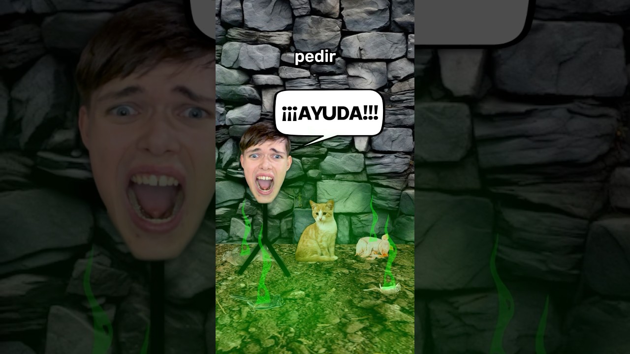 El Gato Que Mat&oacute; A 5 Personas 😼