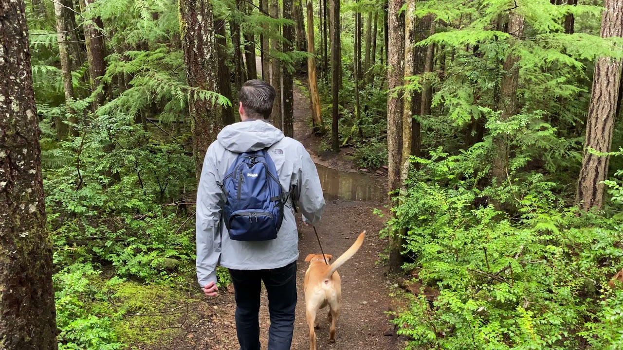 Hiking Dickerson Falls | Bremerton, Washington | Kitsap County