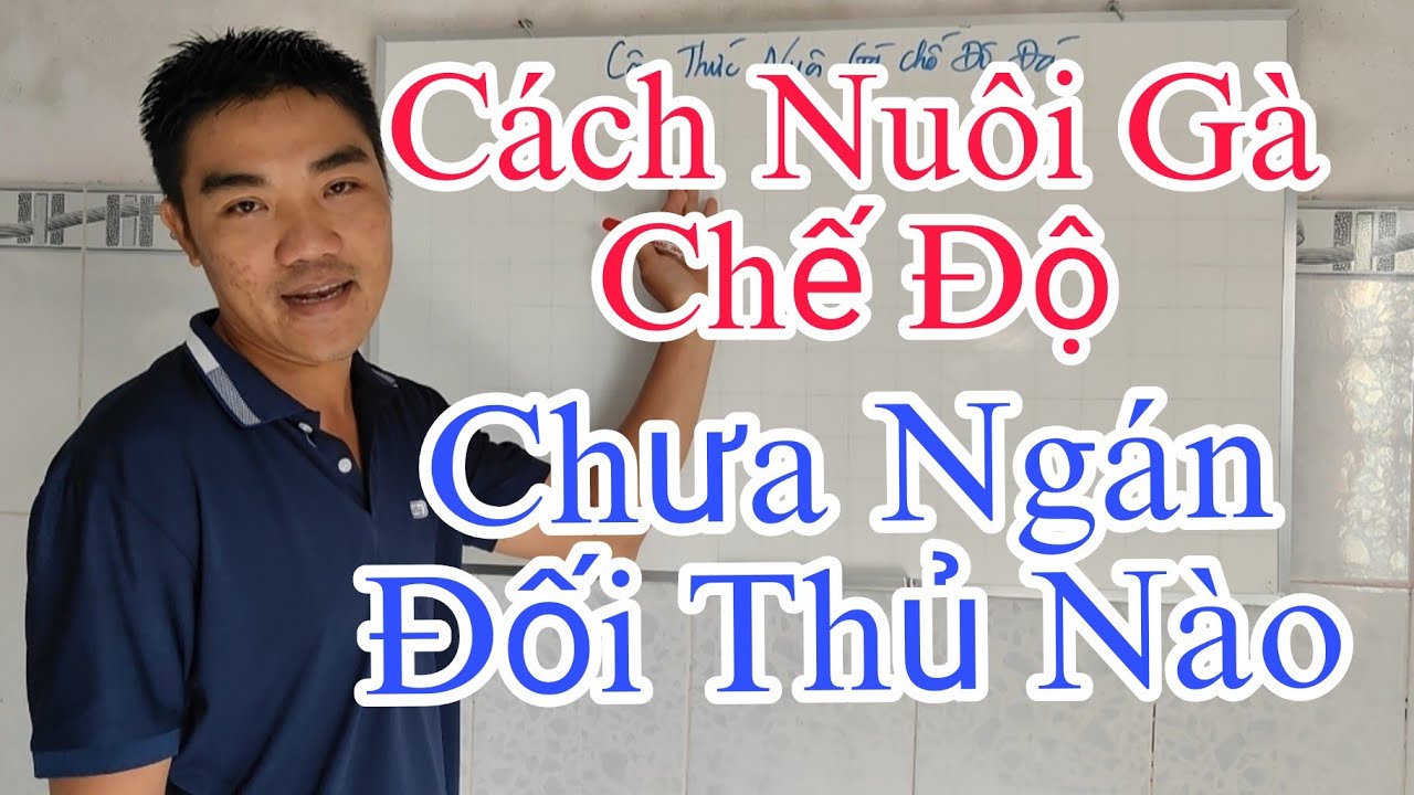 Thú Y Phương Luận| Công Thức Nuôi Gà Chế Độ - Đơn Giản- Khoa Học - Hàng Ngàn Ae Thành Công