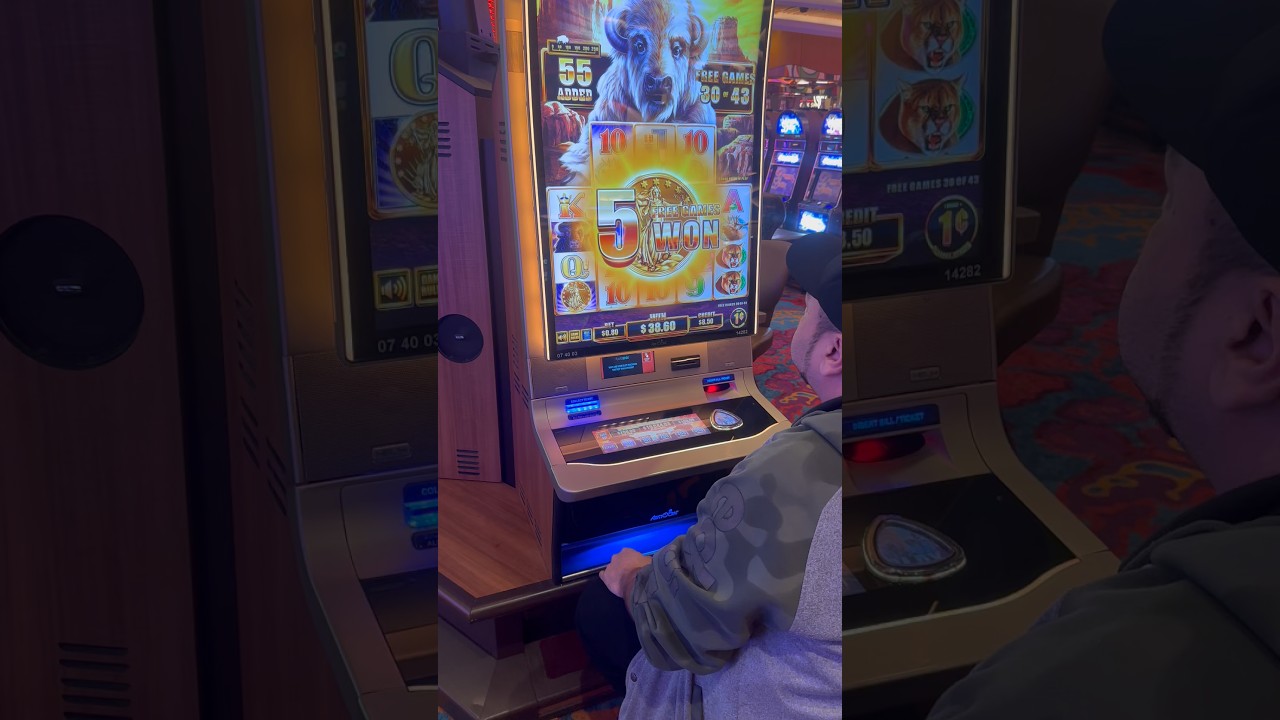 Бонус за буйвола!