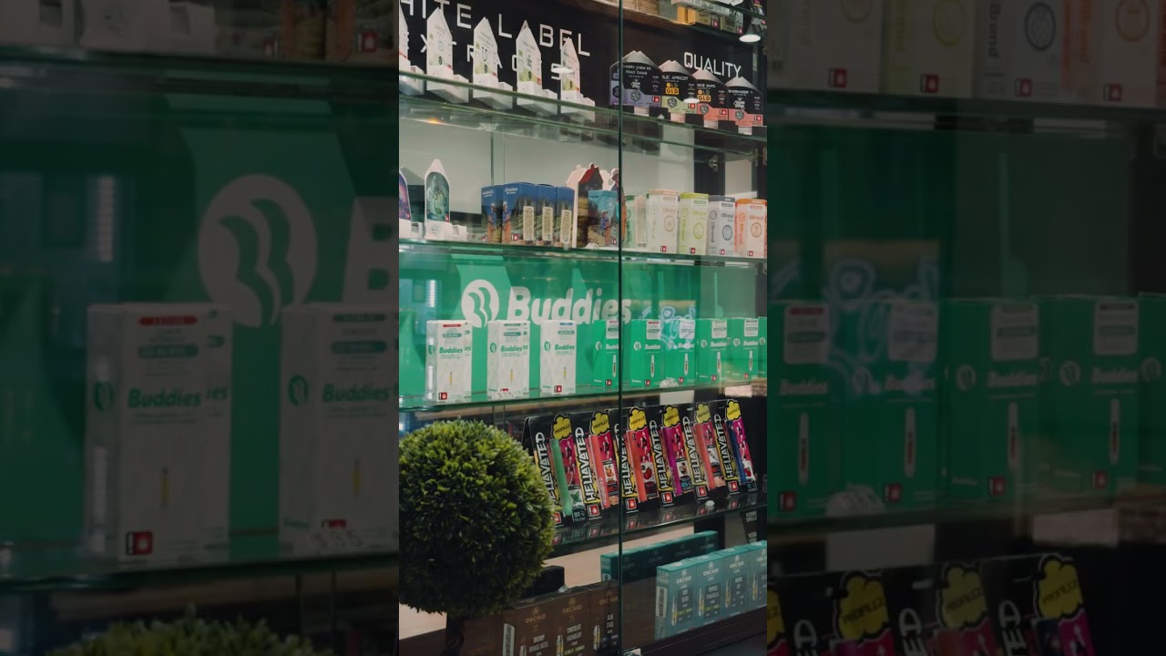 Green Room Headquarter - Walkthrough Tour