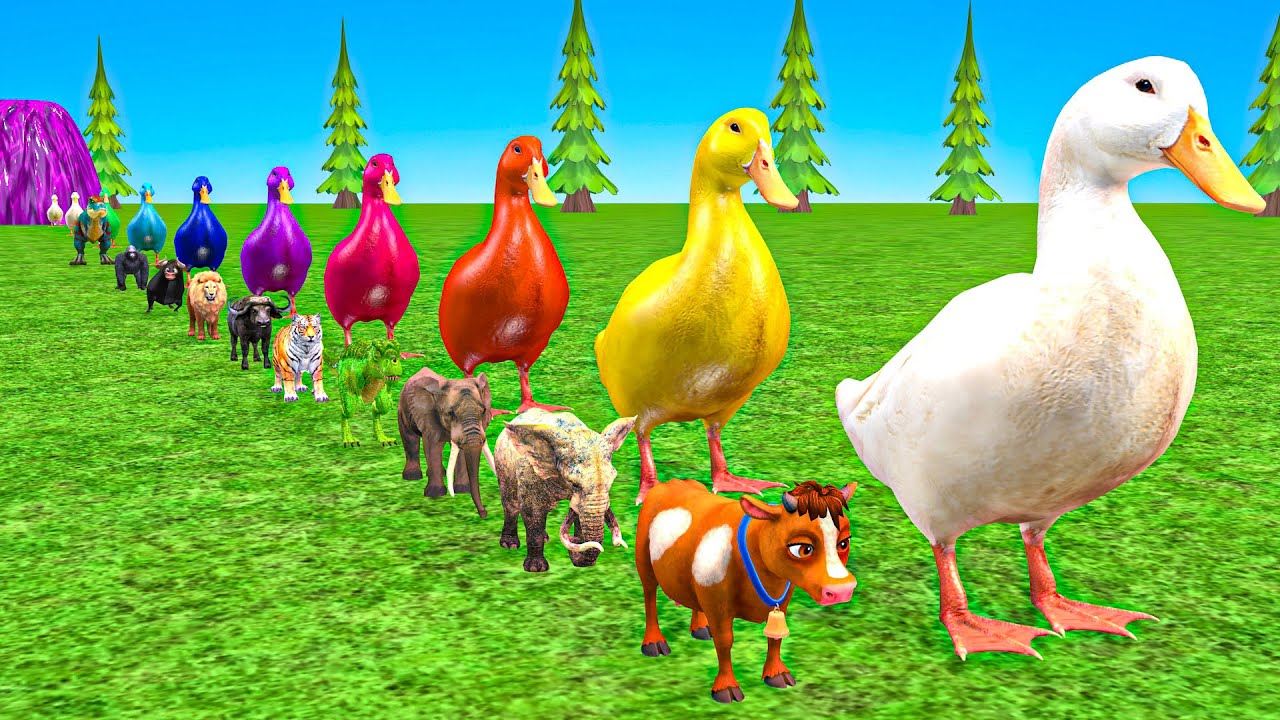 Funny Long Slide Game with Cow Elephant Gorilla Hippopotamus Tiger 3d Animal Game Funny 3d Animals