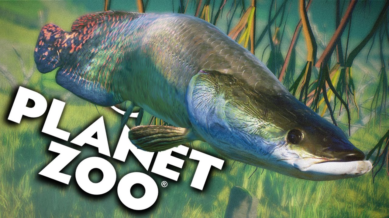 IKAN ARAPAIMA & BELUT LISTRIK!! | Planet Zoo Mod (Bahasa Indonesia)