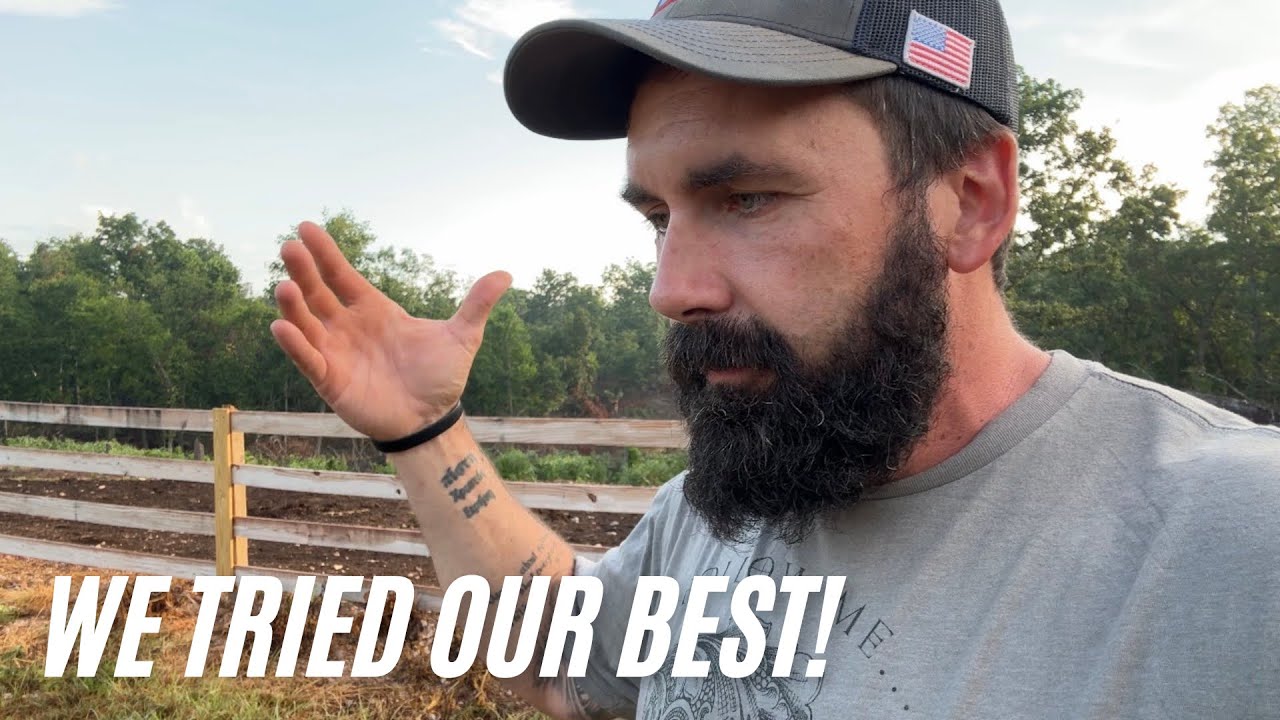 What's Really Happening on the Farm?