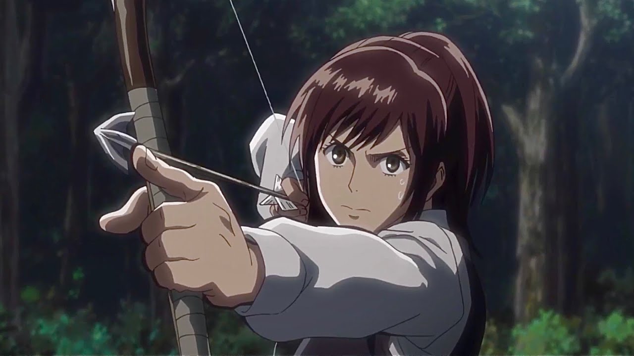 All Sasha Braus fights