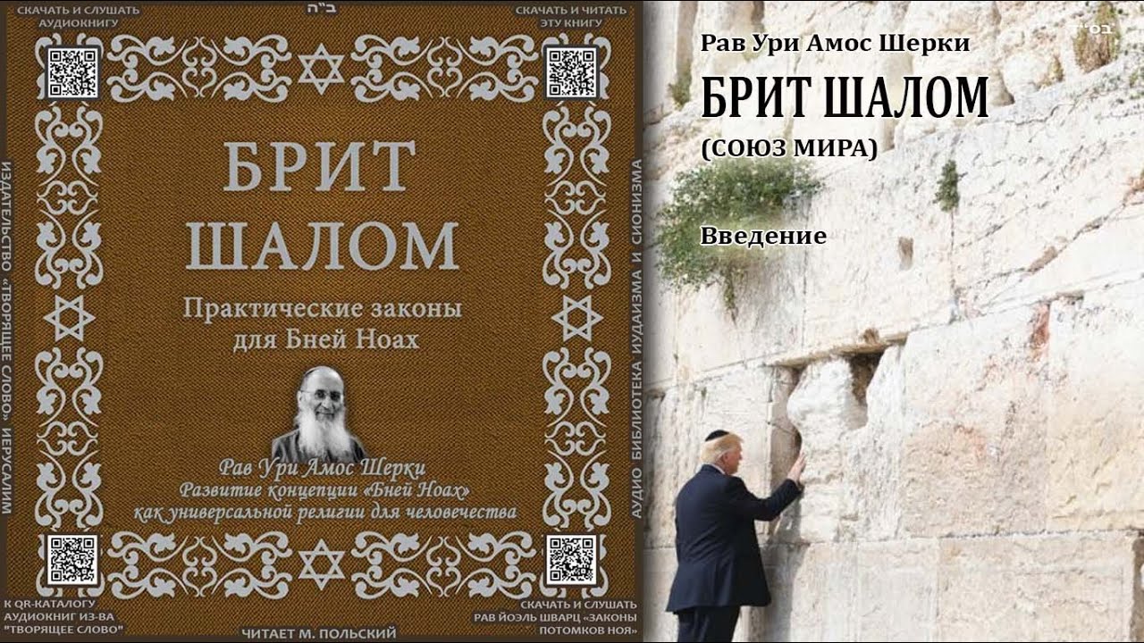 Введение \ Рав Ури Шерки \ БРИТ ШАЛОМ \ Аудиокнига