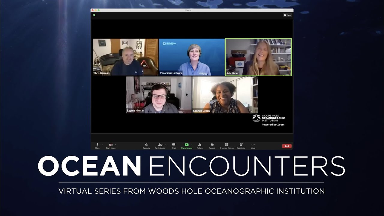 Ocean Encounters 2020: a year of virtual ocean discovery and exploration