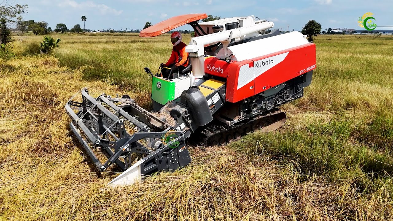 Powerful Combine Harvester New Model DC108X Cutting Rice At Farms Cambodia
