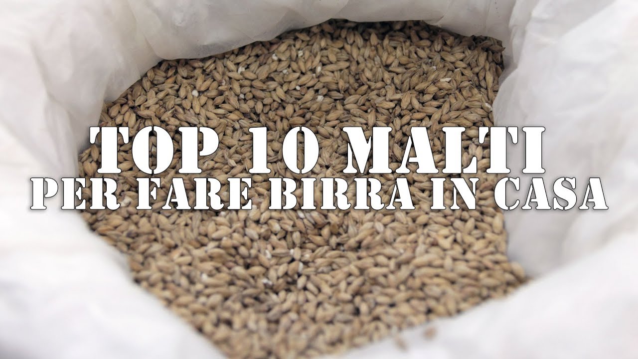 TOP 10 MALTI per fare BIRRA in CASA!
