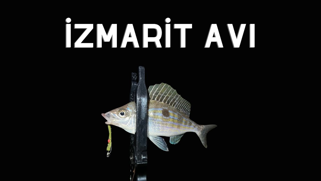 İstanbulda Lrf ile Atçek İzmarit Avı #fishing #balıkçılık #lrf #aji #fish