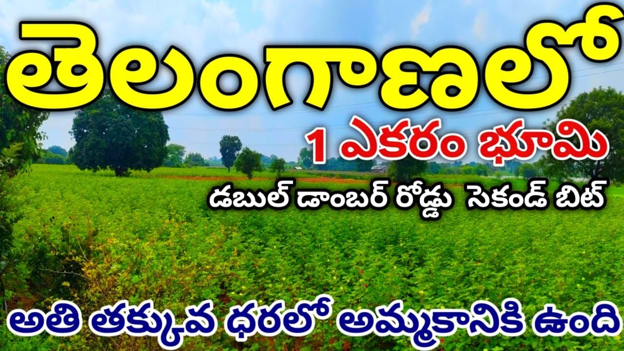 Agriculture land for sale||Near Gajwel||1 Acre||#agriculture #realestate #farmland