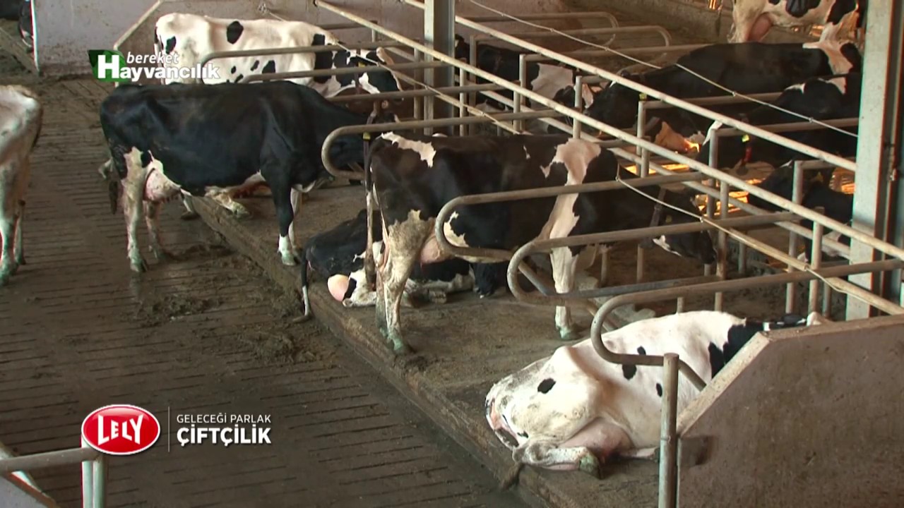Lely ile Geleceği Parlak Çiftçilik 1. Bölüm