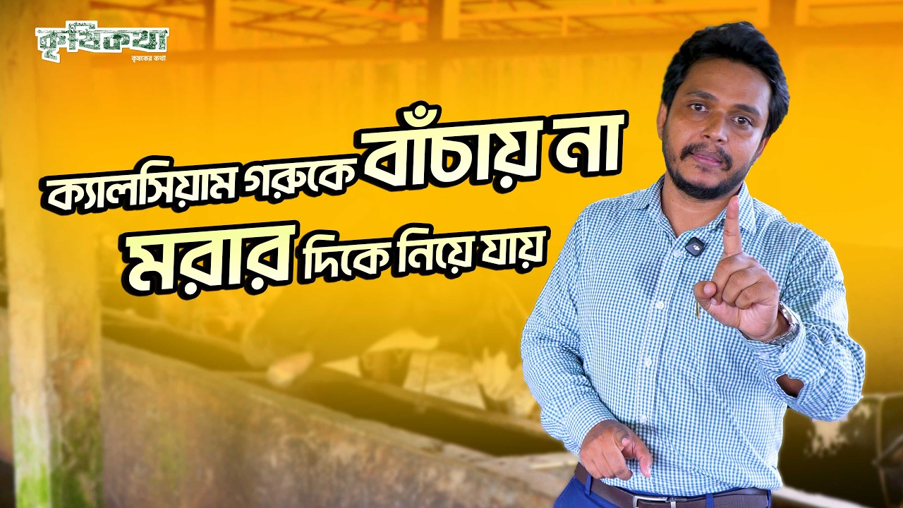 ক্যালসিয়াম গরুকে বাঁচায় না মরার দিকে নিয়ে যায় ? যেই রোগে বেশি আর্থিক ক্ষতি হয় কারণ, লক্ষণ, প্রতিকার