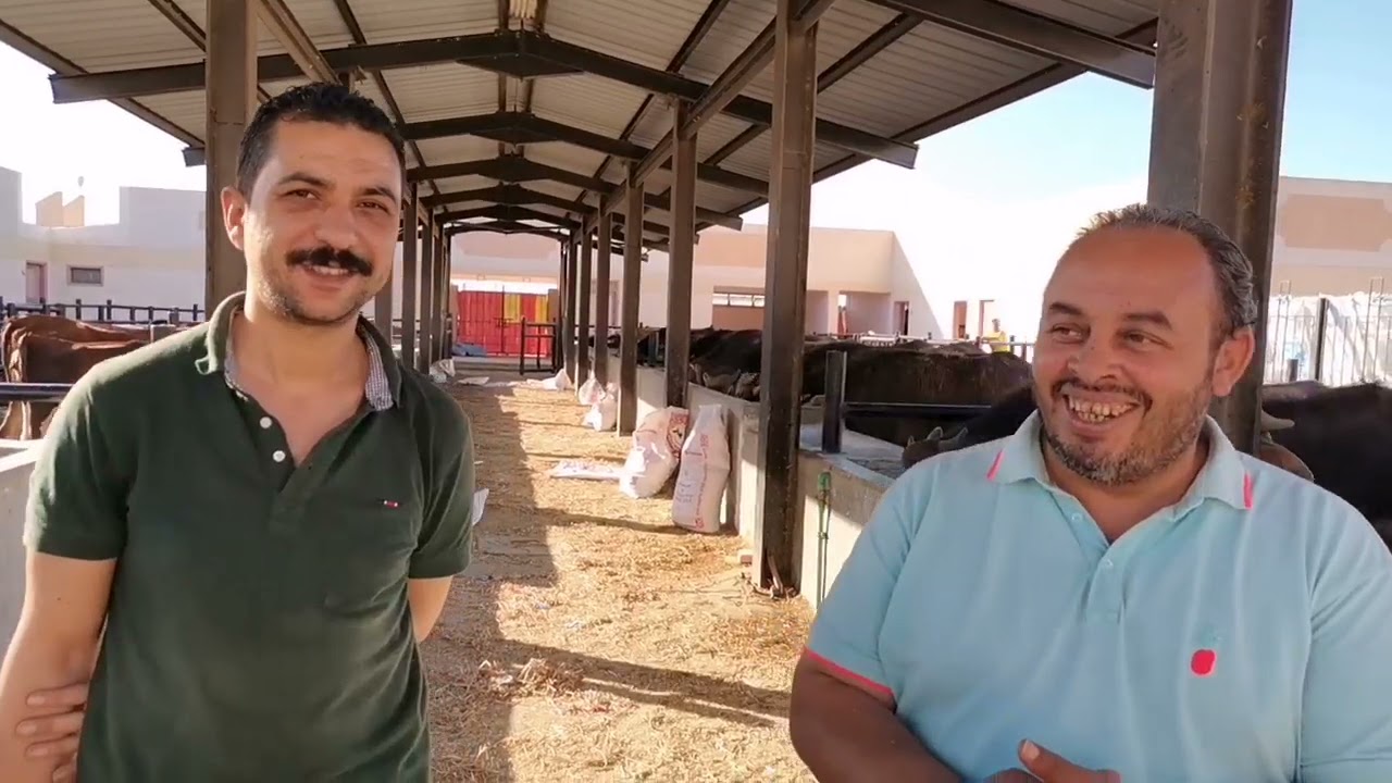 لقاء مع عمالقة الانتاج الحيواني من جميع محافظات مصر حول نتائج الاوبتي بروف
