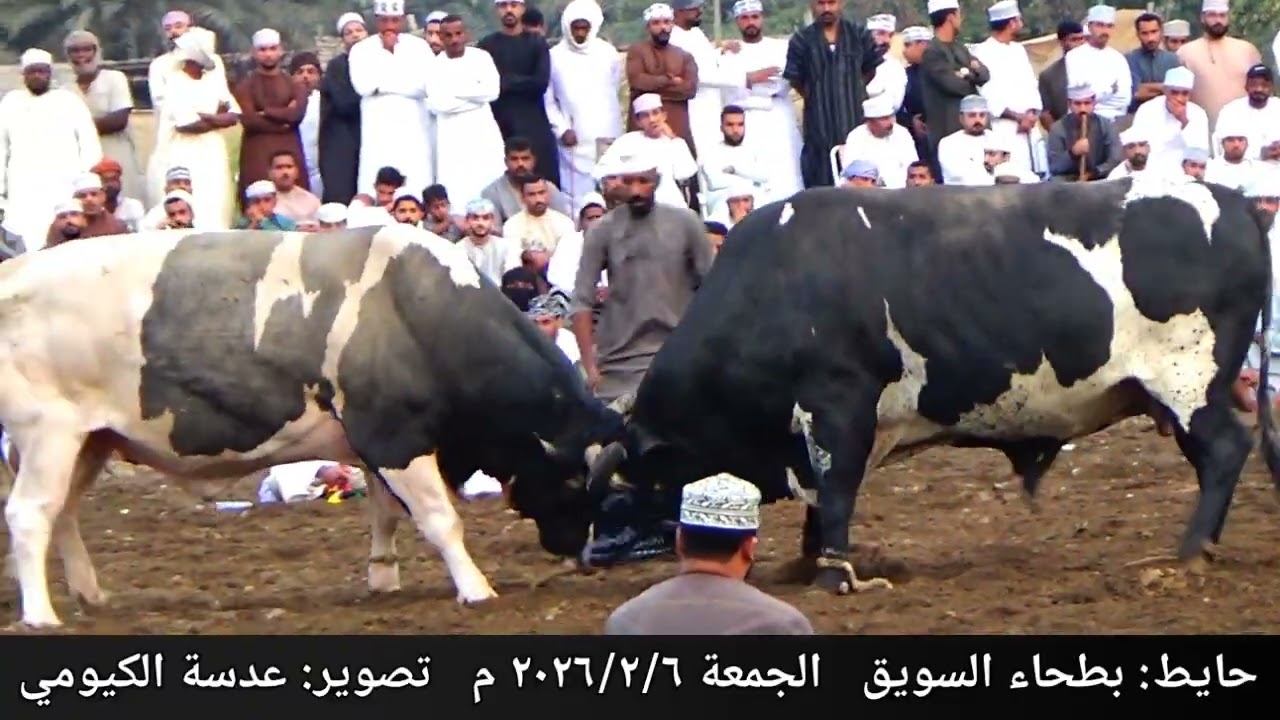 النار و التنين ... حايط بطحاء السويق ١٦
