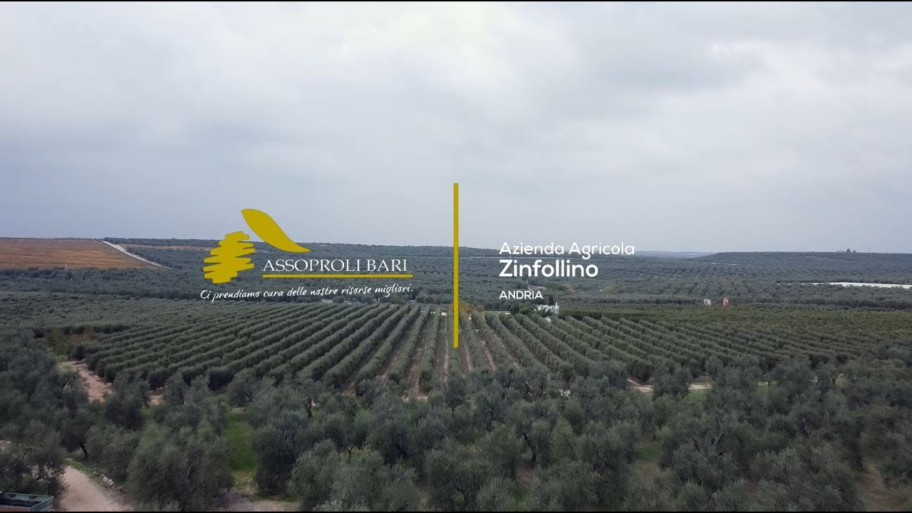 Azienda agricola Zinfollino - Andria