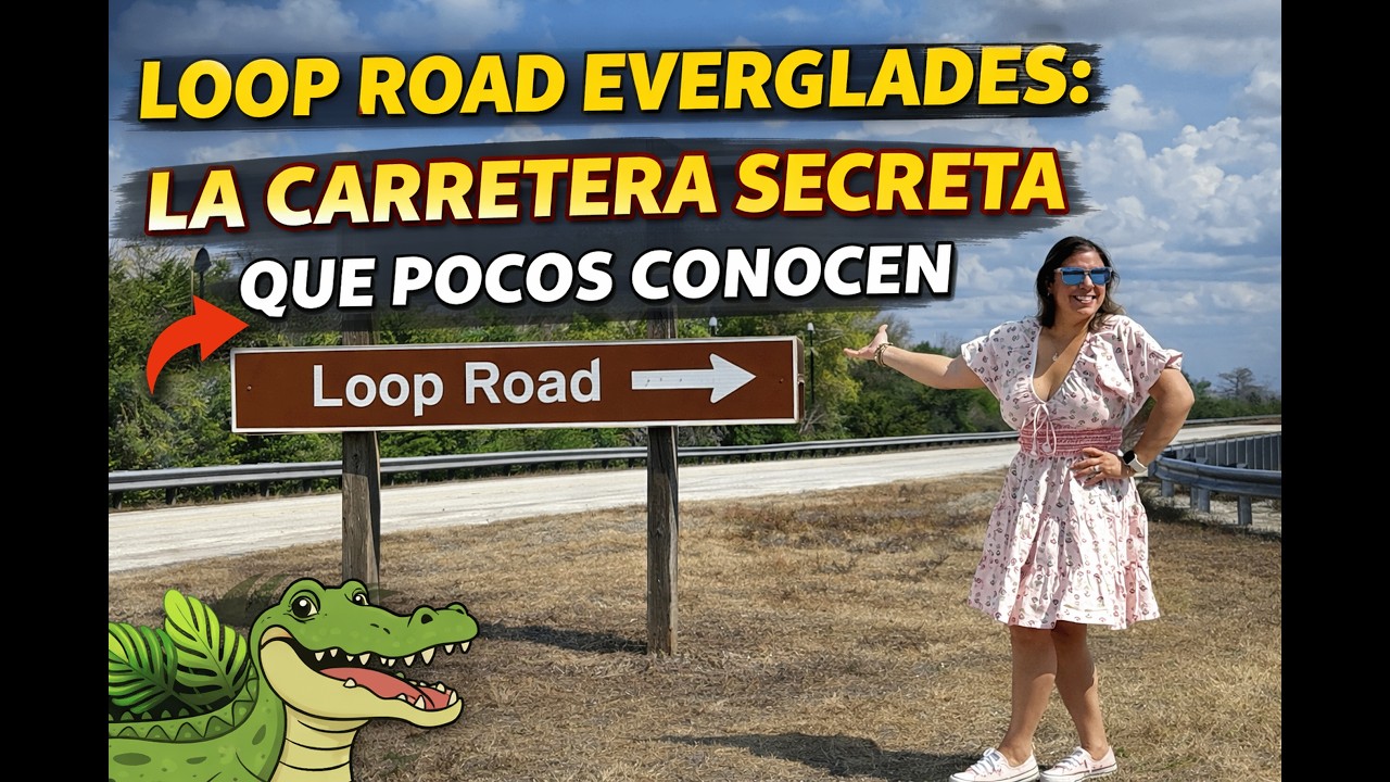 Loop Road Everglades: La Carretera Secreta de Florida que Pocos Conocen 🐊🌿