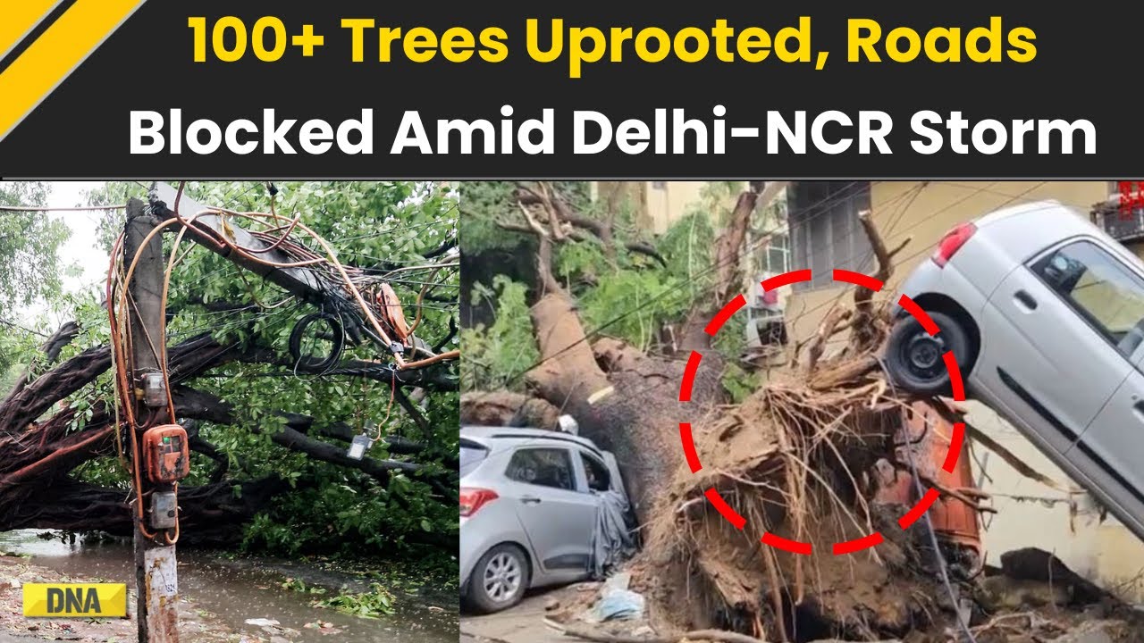 Delhi News: 100+ Trees Uprooted, Roads Blocked as Storm Hits Delhi-NCR | Delhi Weather Today