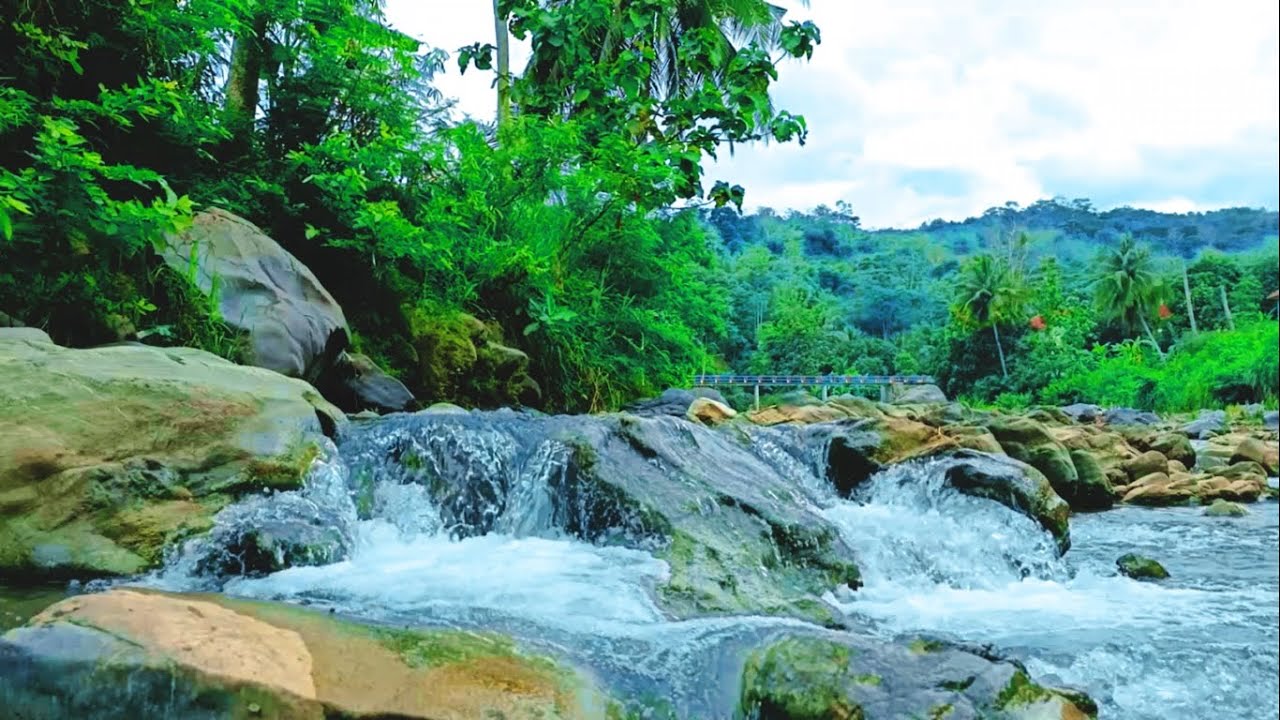 Relaxing River Sound in Green Nature. Flowing Water Ambience for Sleep & Relax