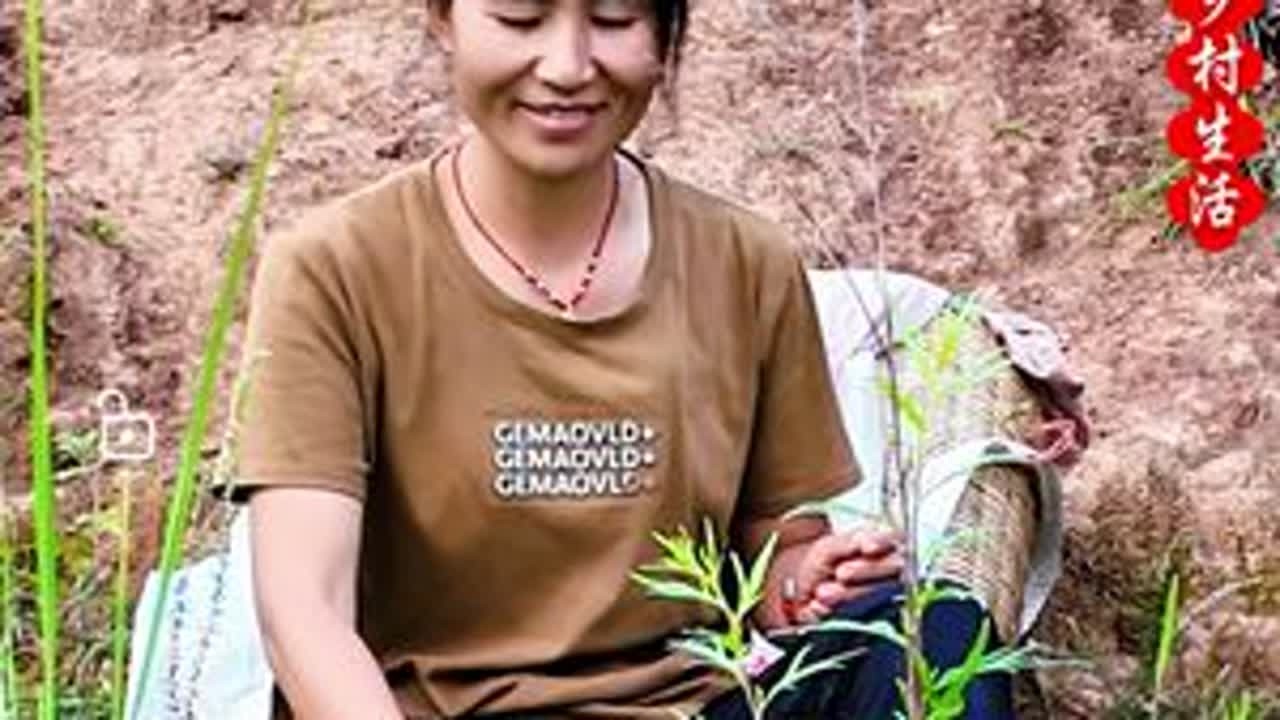 一人两条狗一群羊的生活… 田园生活、农村生活、记录美好生活、山里人家、大山里的生活、抖音记录我的日常生活、乡村振兴、服务三农支持三农、中国马犬、牧羊犬、小耳朵黑山羊、本地黑山羊、黑山羊养殖、农村...