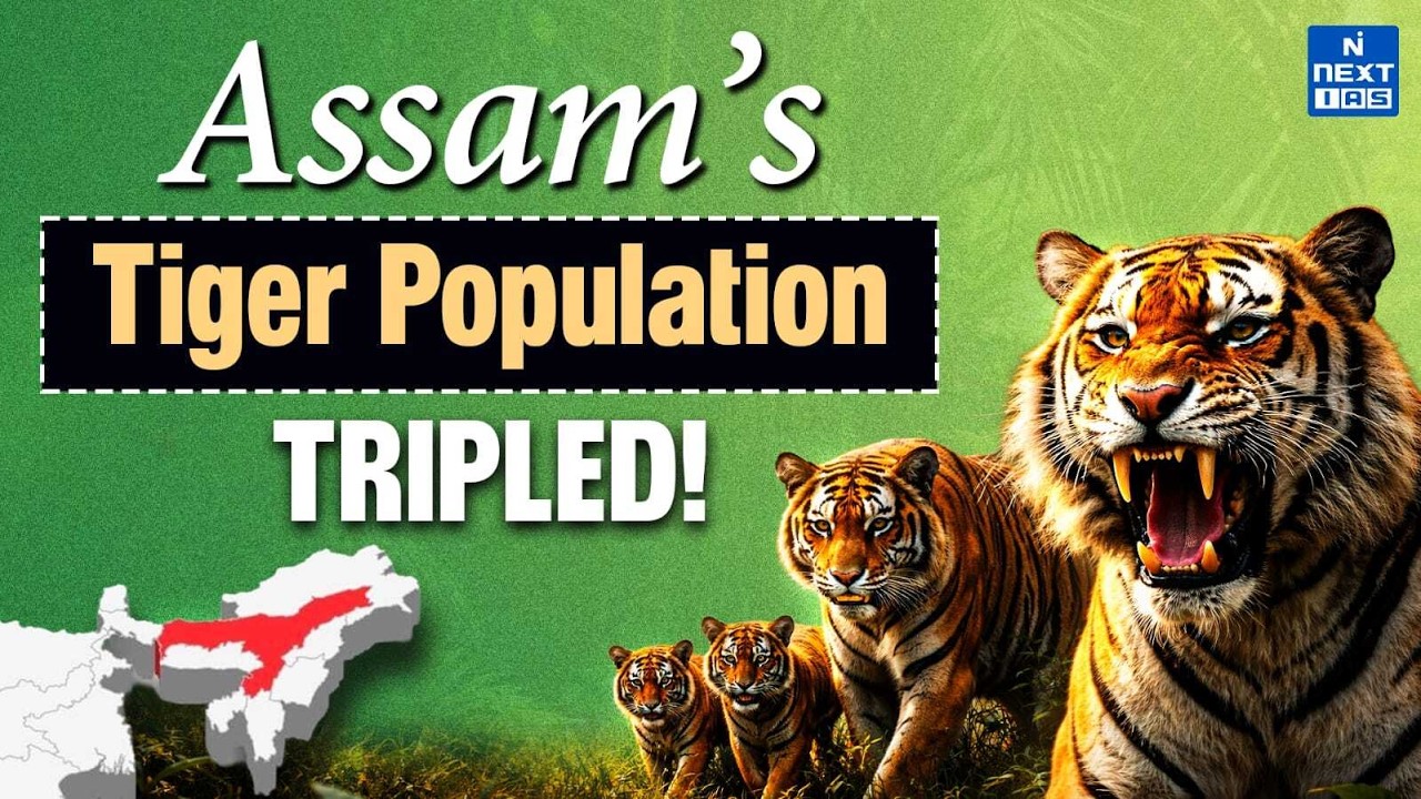 Assam’s Tiger Success Story | India’s Tiger Conservation Explained | UPSC | NEXT IAS