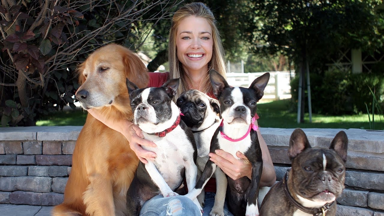 15 Famous Woman And Their Dogs