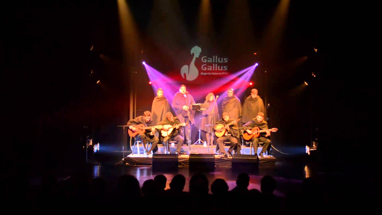 Gallus Gallus - O Meu Desejo