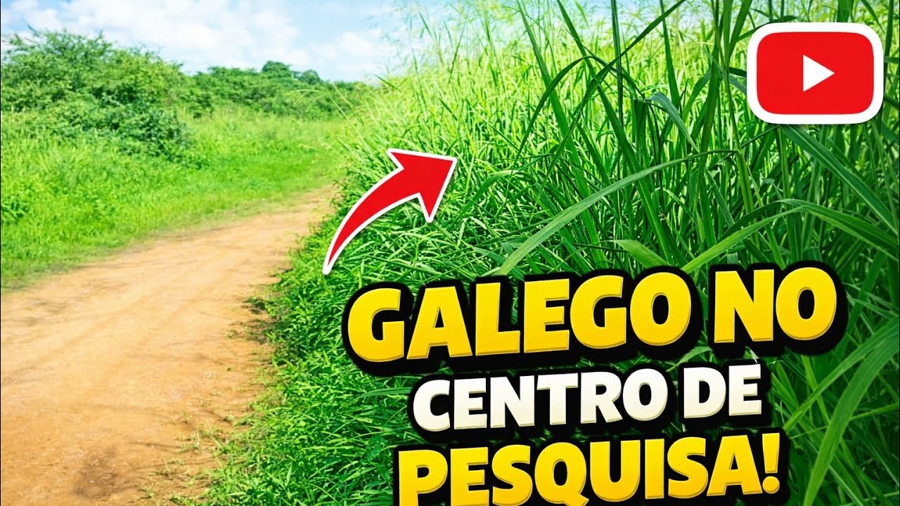 GALEGO LEVARÁ VOCÊ ATÉ O CENTRO DE PESQUISA , SE PREPARE PRA VER  VERDES! PAISAGENS LINDA 