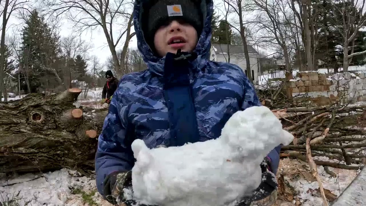 Cutting Down A Tree For Firewood
