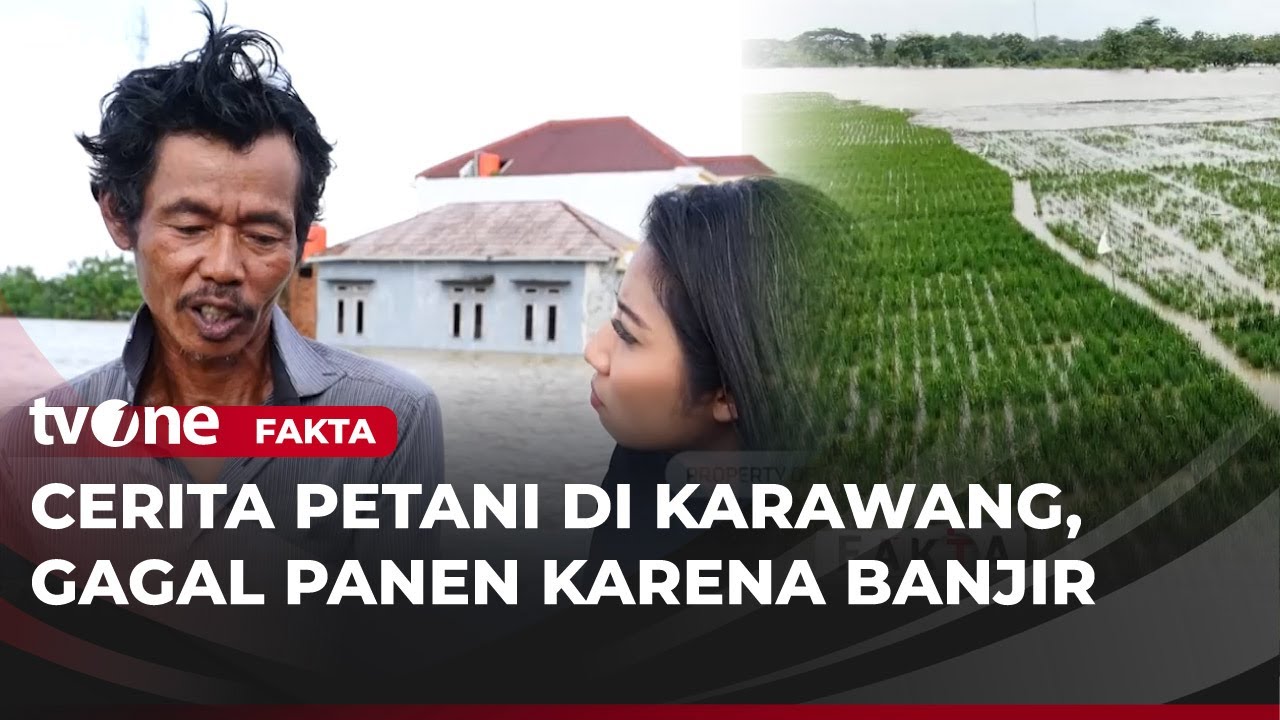 Dampak Banjir Karawang, Petani Sebut Kerugian Gagal Panen Rp 14 Juta Per Hektar | Fakta tvOne