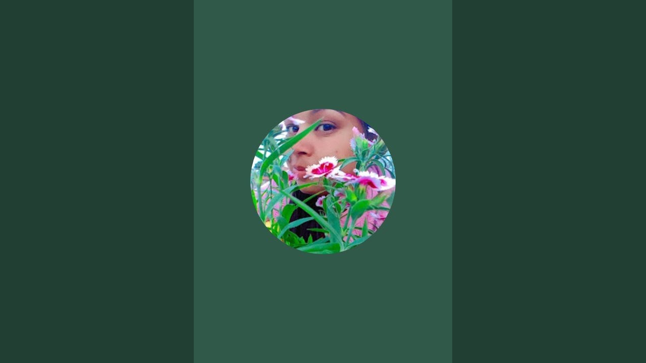 Environment  is live