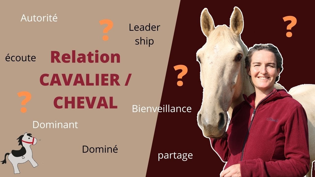 Cavalier-cheval : comment construire une BELLE relation ?